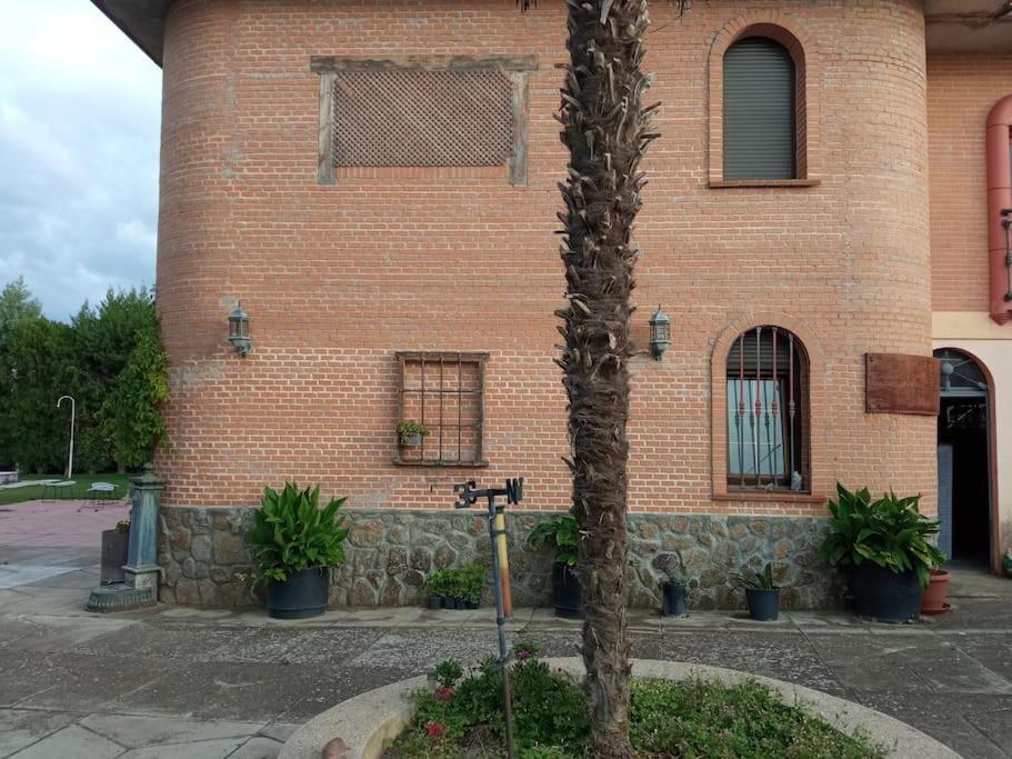 Villa Finca Denunez La Mata  Exterior foto