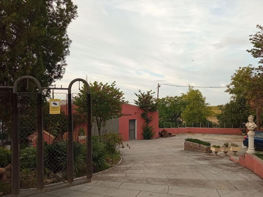 Villa Finca Denunez La Mata  Exterior foto
